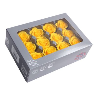 Verdissimo -Rose Mini RSM 1341 Bright Yellow