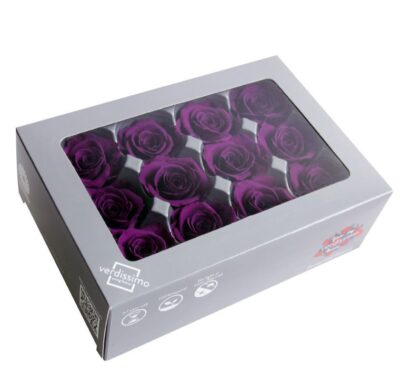 Verdissimo -Rose Mini RSM 1840 Purple