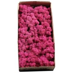 Reindeer Moss – Fucsia